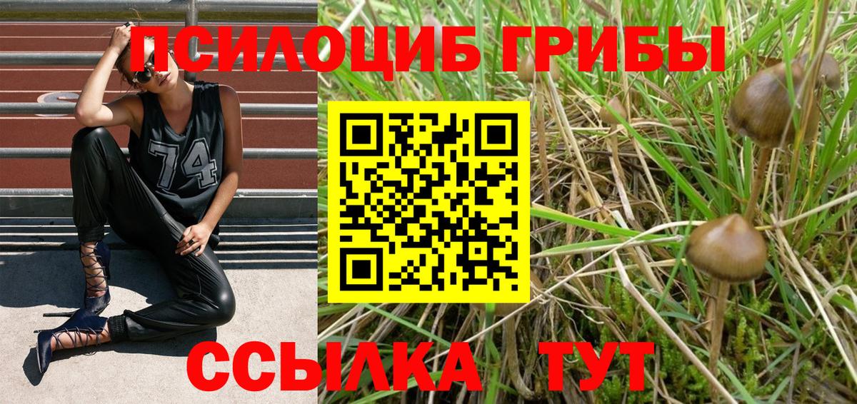Псилоцибиновые грибы Magic Shrooms Белая Калитва