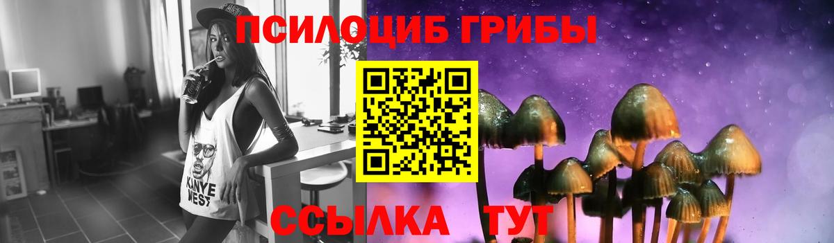 Псилоцибиновые грибы Psilocybe  Вход с VPN  Белая Калитва  Псилоцибиновые грибы ЛСД 